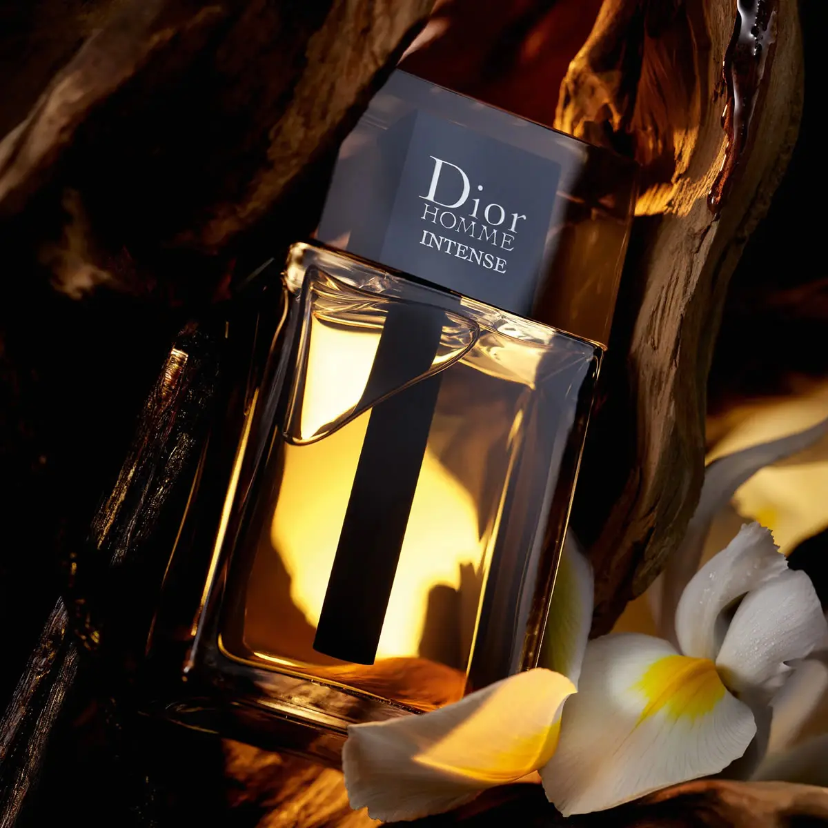 El último Dior que todavía huele a iris