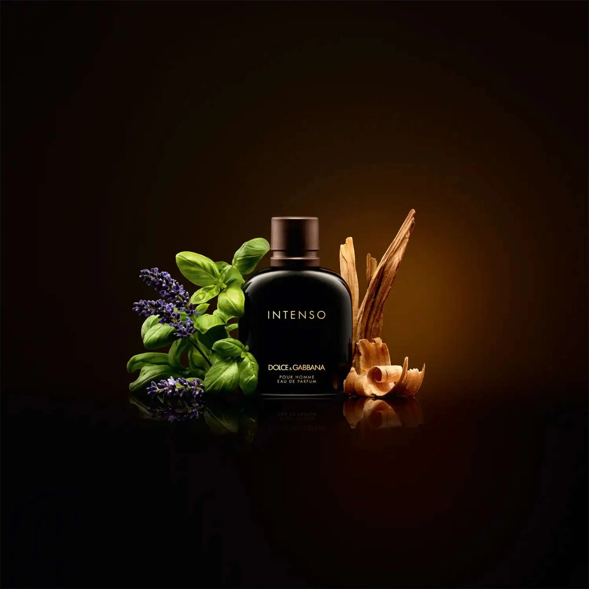 El fougère de barbería que Dolce & Gabbana aún mantiene